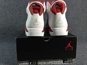 Air Jordan 6 Retro Alternate Hare 384664-113 - 5