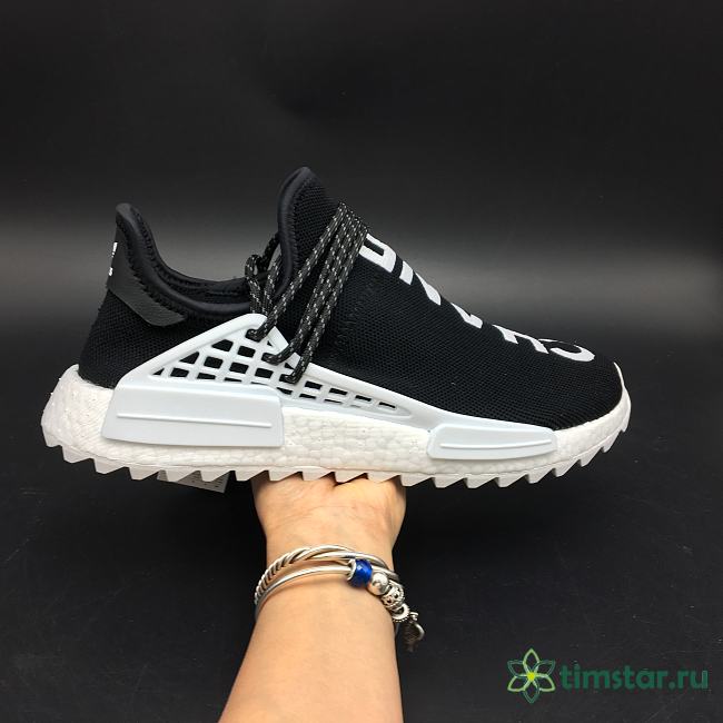 Adidas Human Race NMD x Channe1 x Pharrell 675001 - 1