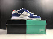 Nike Dunk SB Low Ishod Wair 