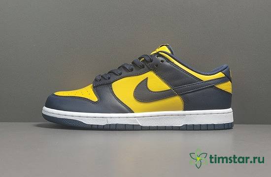 Nike Dunk Low Michigan DD1391-700 - 1