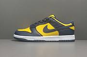 Nike Dunk Low Michigan DD1391-700 - 1