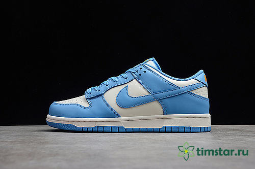 Nike Dunk Low Coast DD1503-100 - 1