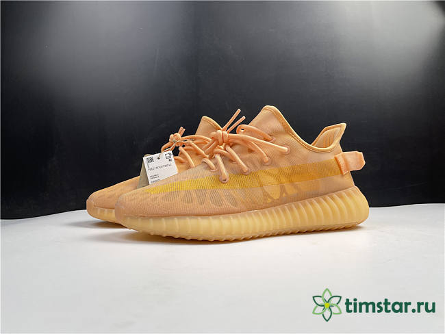 Adidas Yeezy Boost 350 V2 Mono Clay GW2870 - 1