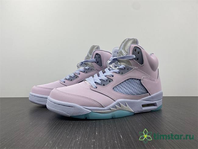 Air Jordan 5  DV0562-600 - 1