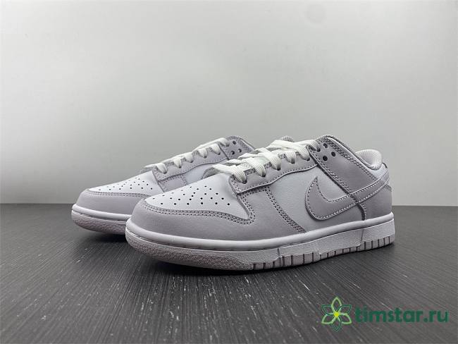 Nike Dunk Low Venice (W)  DD1503-116 - 1