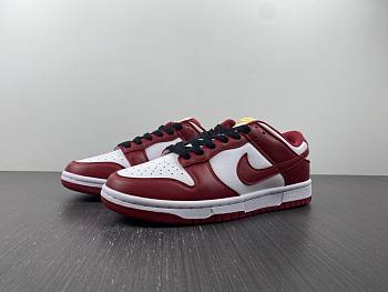 Nike Dunk Low USC  DD1391-602