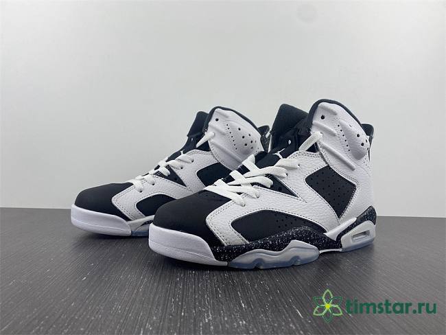 Air Jordan 6 Retro 