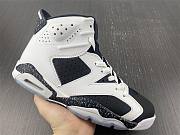 Air Jordan 6 Retro 