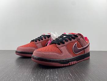 Nike SB Dunk Low Concepts Red Lobster  313170-661