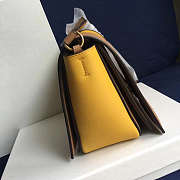 Celin Frame Yellow and Khaki Tote bag - 2