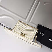 Channe1 leboy calfskin bag in beige with gold hardware 25cm - 1