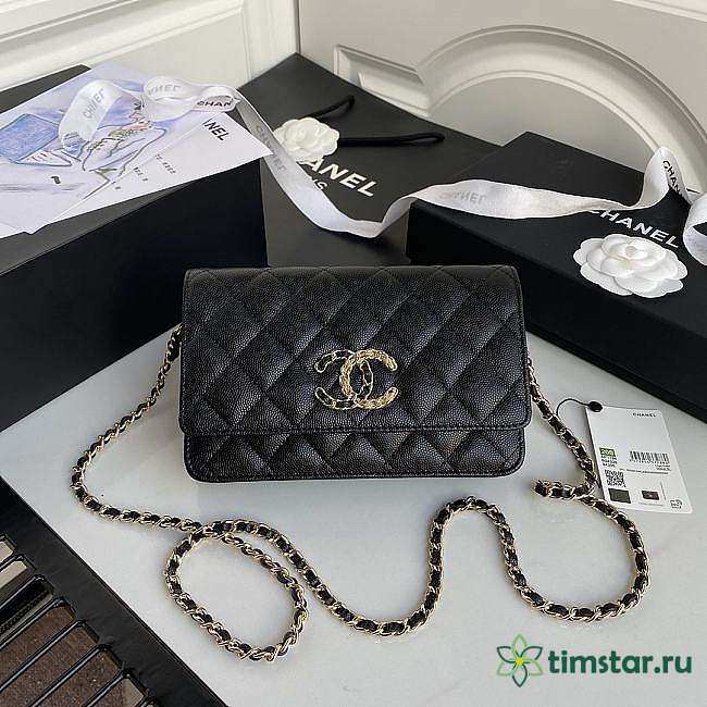 Channe1 AP1794 WOC wallet on chain bag black - 1