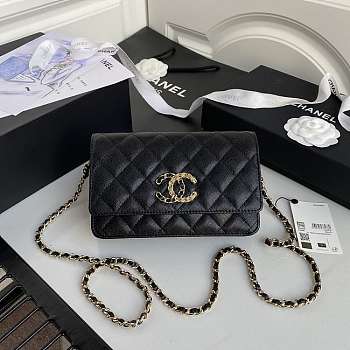 Channe1 AP1794 WOC wallet on chain bag black