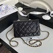 Channe1 AP1794 WOC wallet on chain bag black - 6