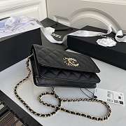 Channe1 AP1794 WOC wallet on chain bag black - 5