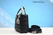 Lady Dioorr bag 20cm - 4