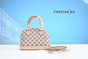 LsVttn Damier Azur Braided Alma BB N45294 - 1