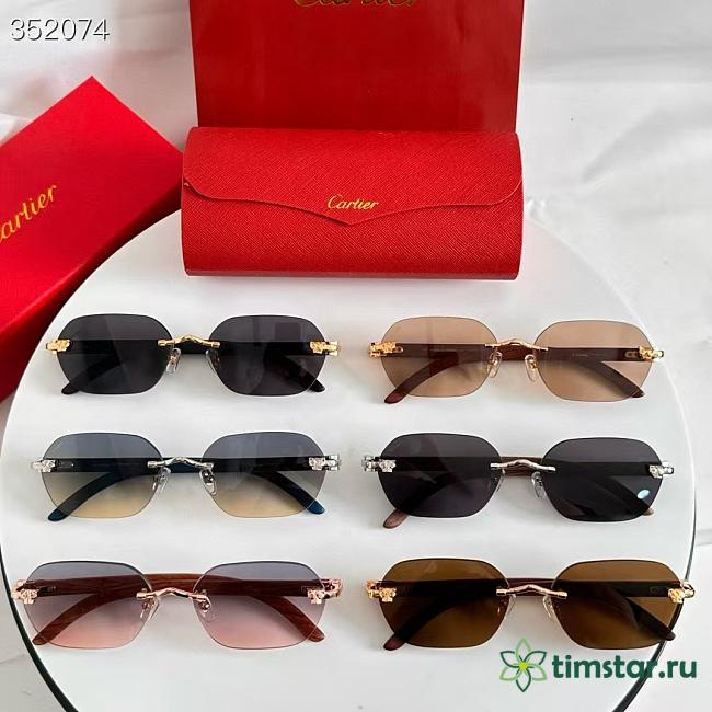 CARTIER sunglasses CT 0611 - 1