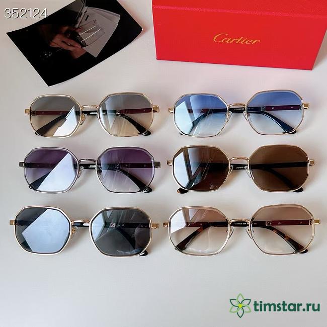CARTIER Sunglasses CT 0492 - 1
