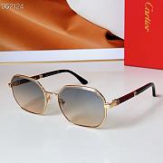 CARTIER Sunglasses CT 0492 - 3
