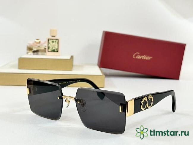 CARTIER sunglasses CT 0636 - 1