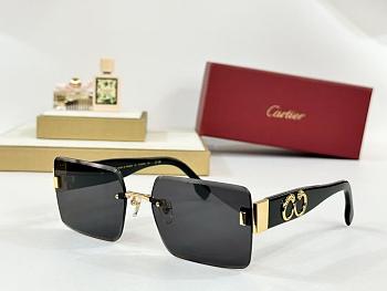 CARTIER sunglasses CT 0636