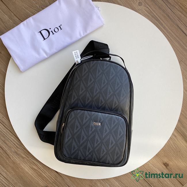 Dior Men Bags 35123116 （21×32×10cm) - 1