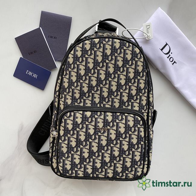 Dior Men Bags 35123116 （21×32×10cm）timstar - 1