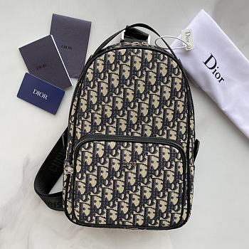 Dior Men Bags 35123116 （21×32×10cm）timstar