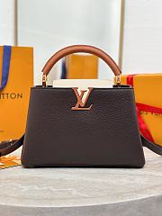 LV Capucines bag 31.5*20*11CM - 1