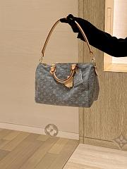 LV Crossbody bag - 2