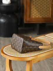 LV ALL IN BB Monogram brown bag 18*12*16cm - 6