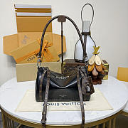 LV EXPREESS 26*13.5*17CM - 1