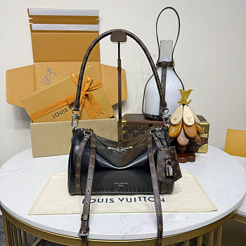 LV EXPREESS 26*13.5*17CM