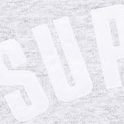 Supreme 25FW ARC THERMAL LINED ZIP UP HOODED 03 - 2