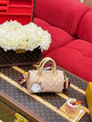 LV Speedy 20 Bandoulière bag 13.5*12*20.5CM