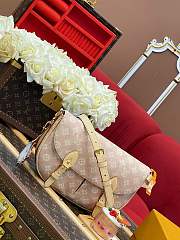 LV Travels With Grace Coddington 21*7*30CM - 3