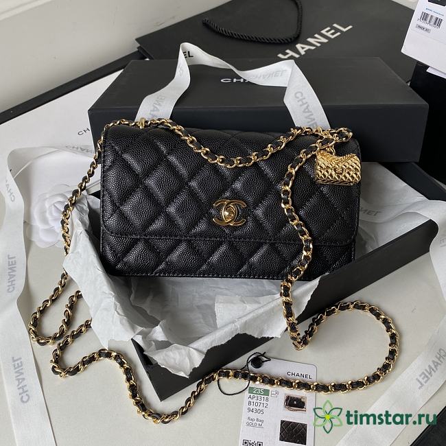 Chanel WOC High quality Bag Black 19cm - 1