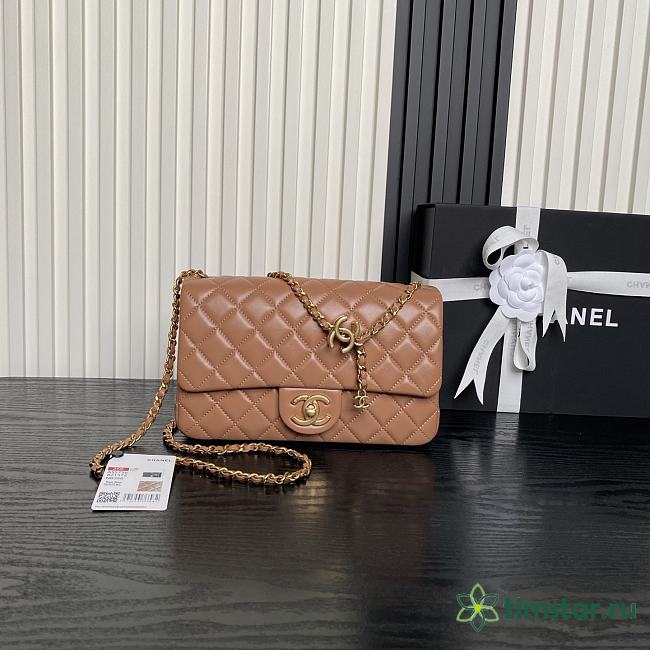 Chanel 25B Double C CF bag AS5756 14.5×23.5×7cm - 1