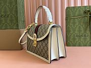 Gucci Ophidia crossbody bag 25*17.5*7cm 1 - 4
