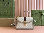 Gucci Ophidia crossbody bag 25*17.5*7cm 3 - 1
