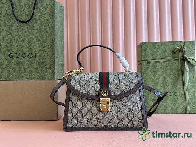 Gucci Ophidia crossbody bag 25*17.5*7cm 4 - 1