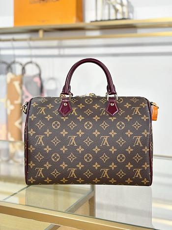 LV SPEEDY 30 SOFT CELEBRATION bag 30*21*17CM