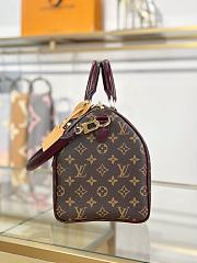 LV SPEEDY 30 SOFT CELEBRATION bag 30*21*17CM - 6