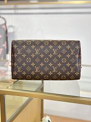 LV SPEEDY 30 SOFT CELEBRATION bag 30*21*17CM - 5