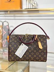 LV SPEEDY 30 SOFT CELEBRATION bag 30*21*17CM - 4