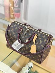 LV SPEEDY 30 SOFT CELEBRATION bag 30*21*17CM - 3