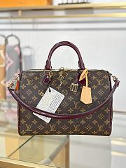 LV SPEEDY 30 SOFT CELEBRATION bag 30*21*17CM - 2