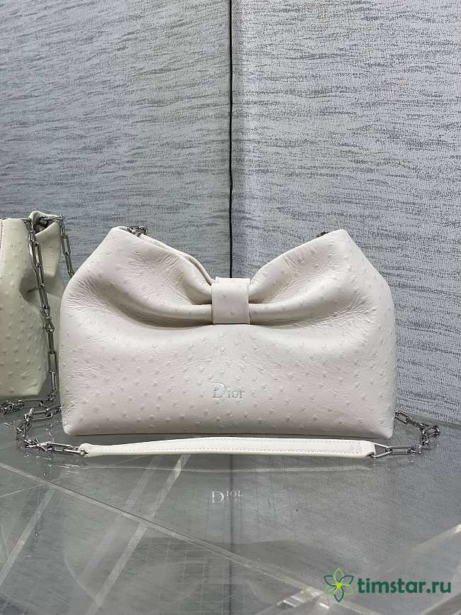Dior LAMBSKIN 2026 white Bag 27x8x18cm 4 - 1
