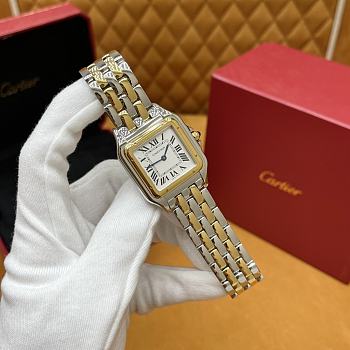 Cartier watch W2PN0016 31X42mm